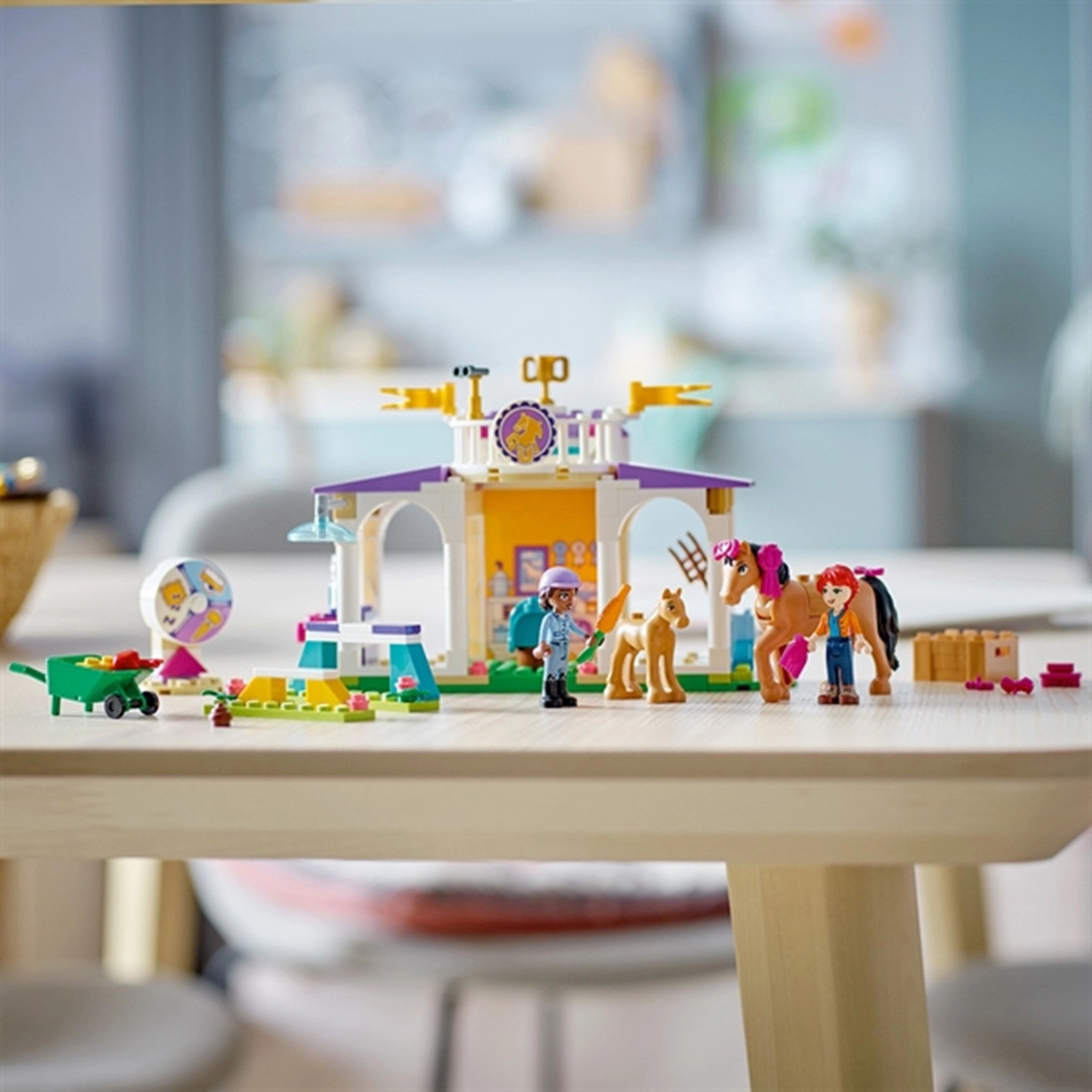 LEGO Friends Horse Training