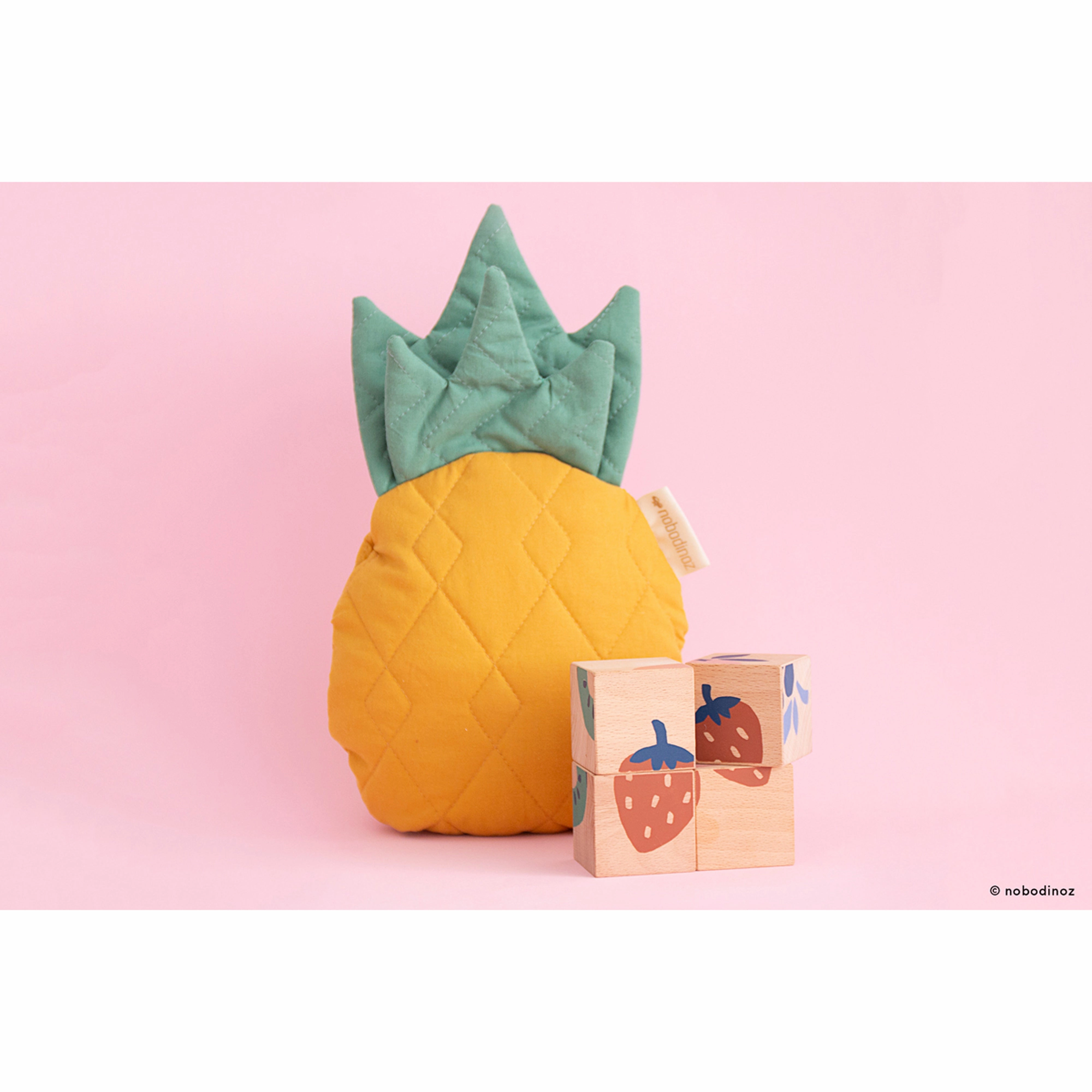 nobodinoz Fruits Wooden Cubes
