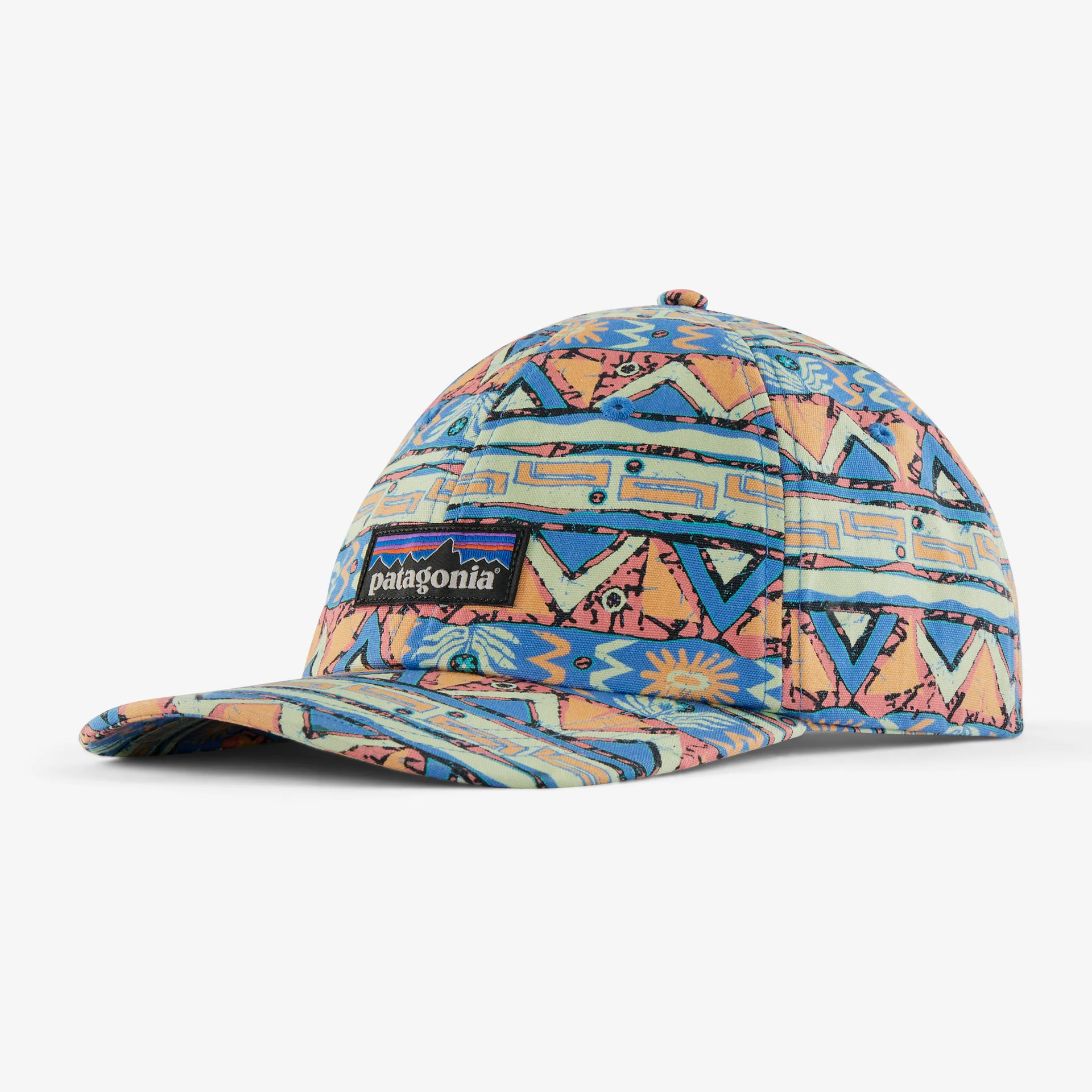 Patagonia Womens Hats & Accessories P-6 Label Trad Cap