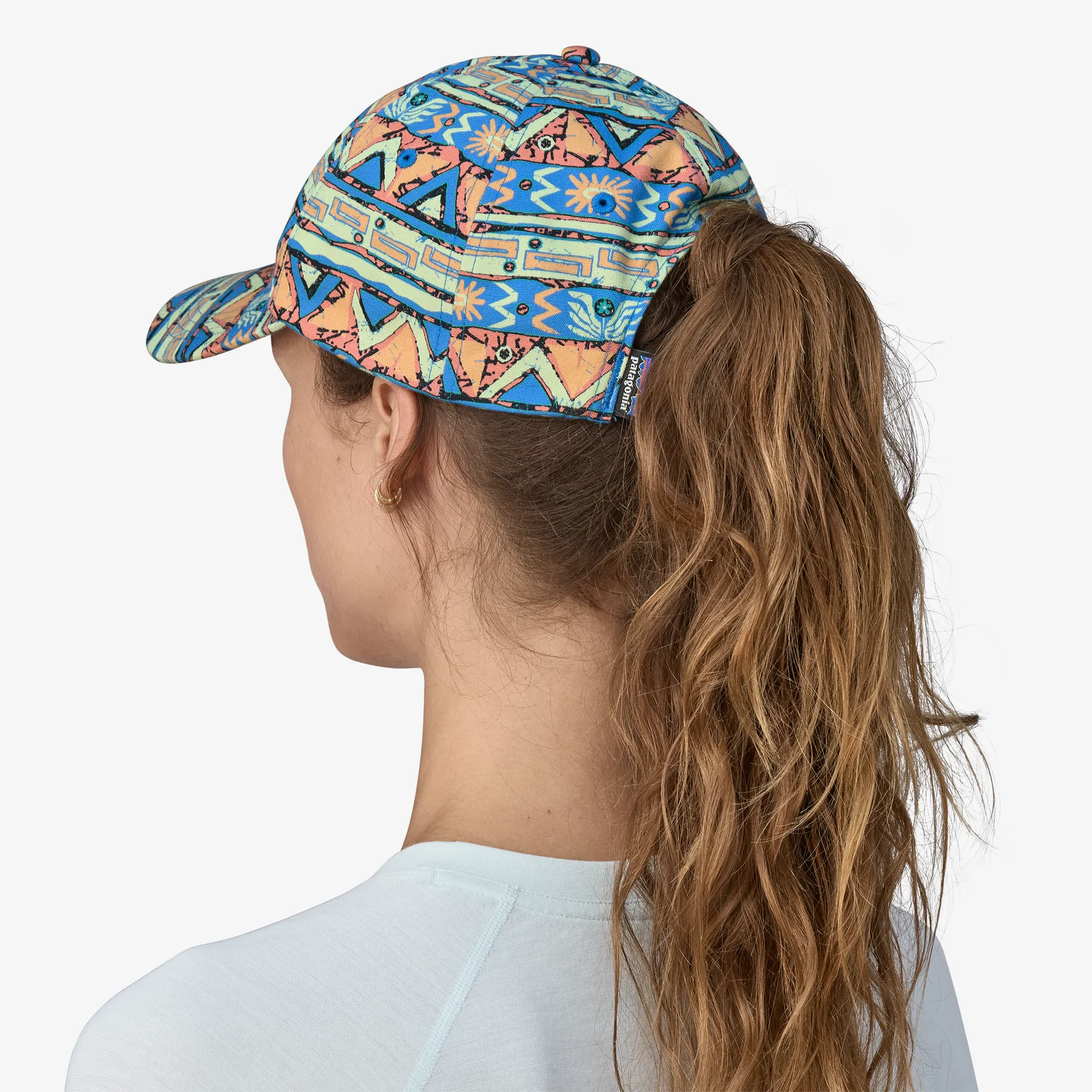 Patagonia Womens Hats & Accessories P-6 Label Trad Cap