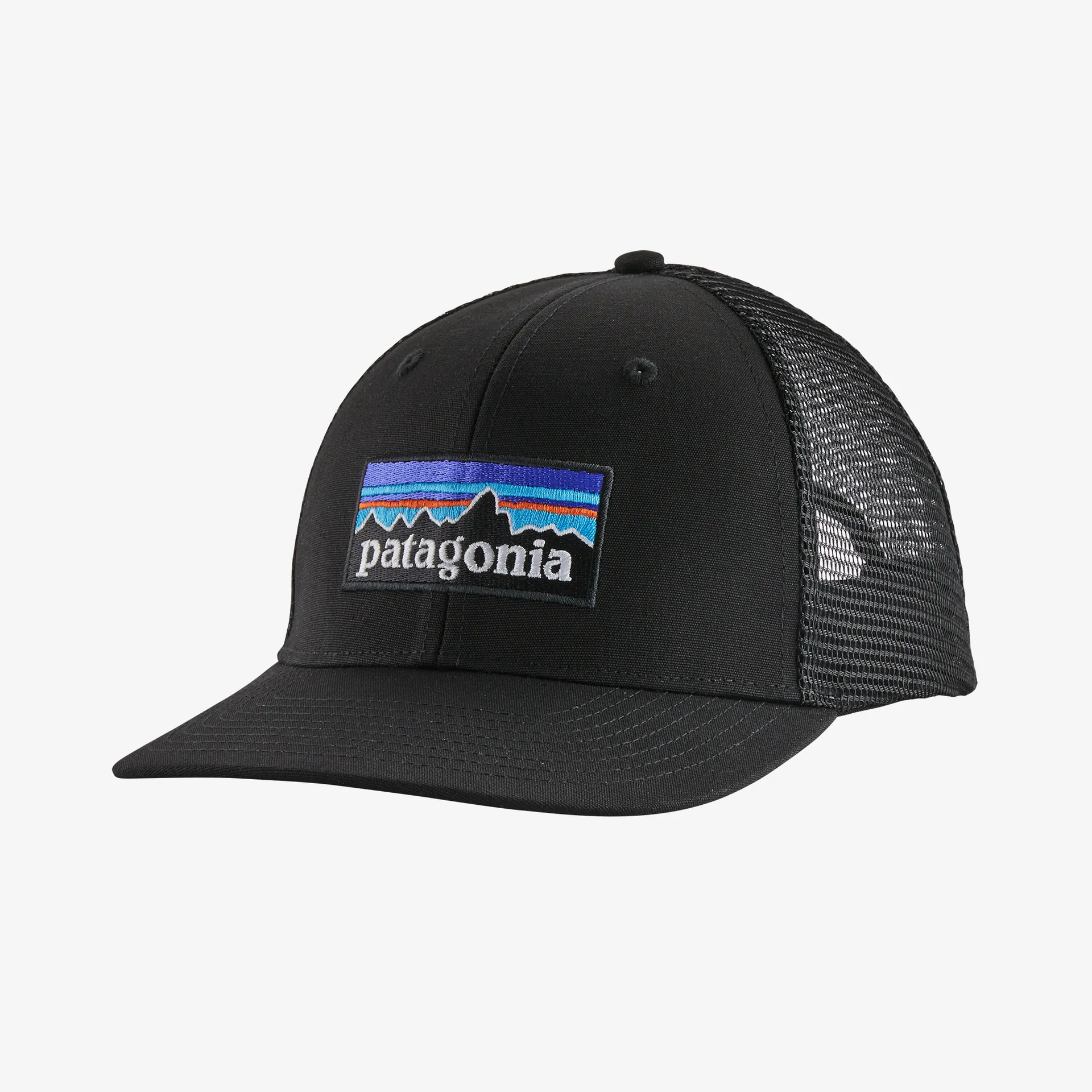 Patagonia Womens Hats & Accessories P-6 Logo Trucker Hat
