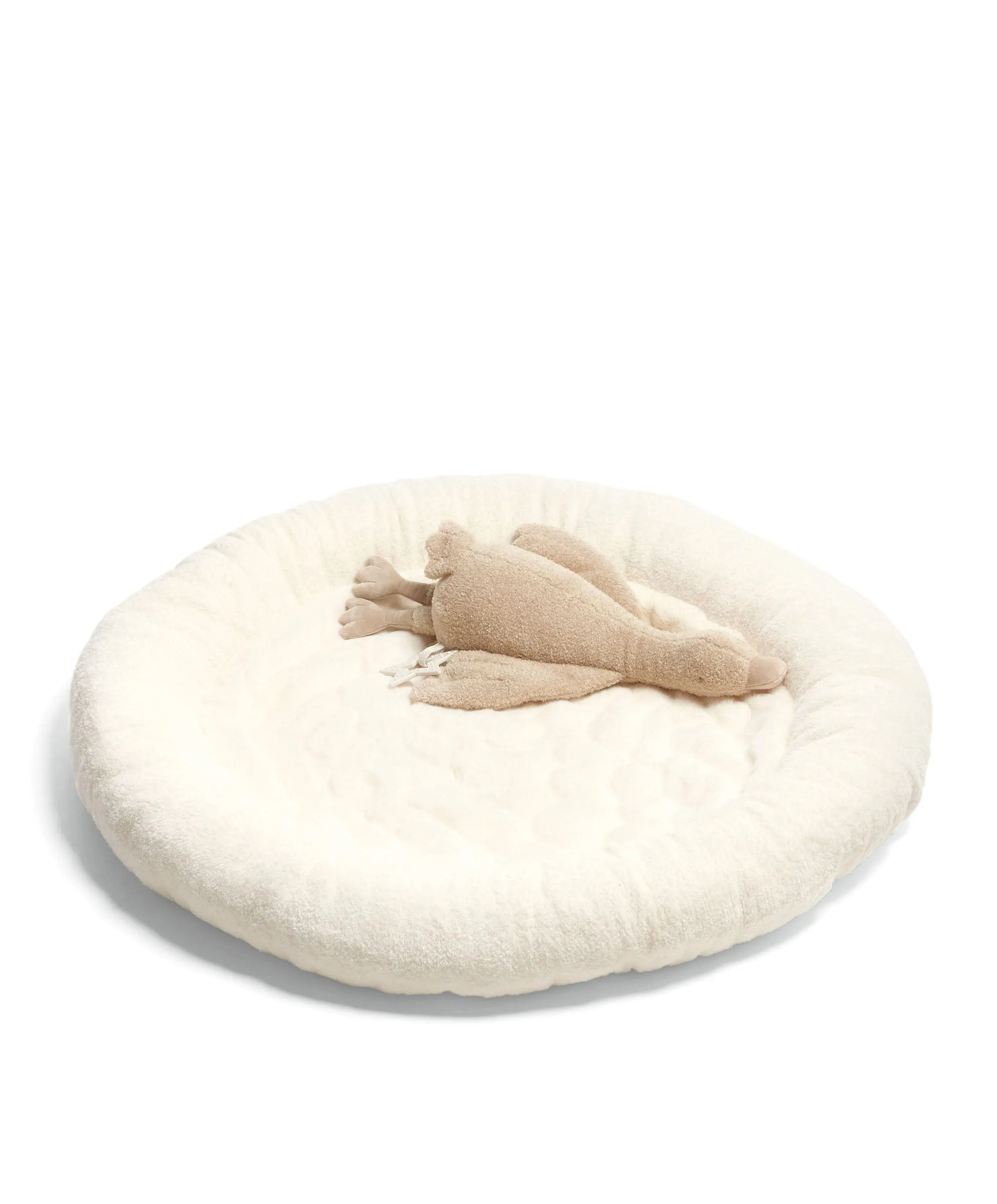 Playmat & Gym - Welcome to the World Duckling