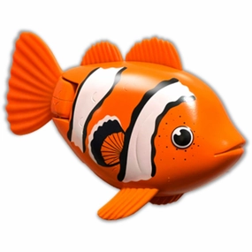 Rainbow Reef Fish Clown Fish