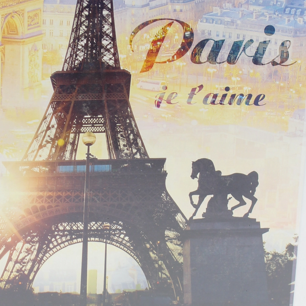 Trefl 1000-Piece Puzzle  Paris at Dawn